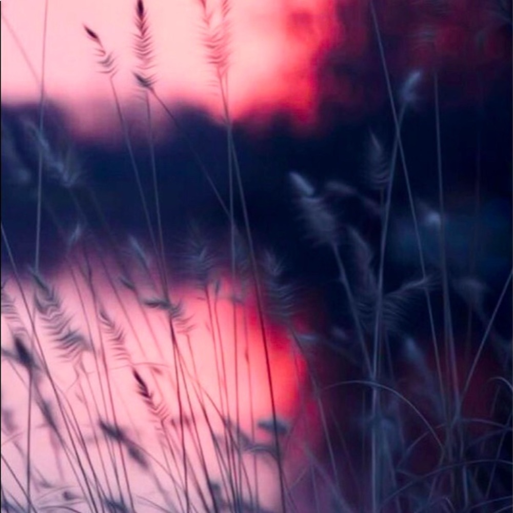 Meet your Posher, Arrianna